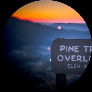 Meet your Posher, Drew